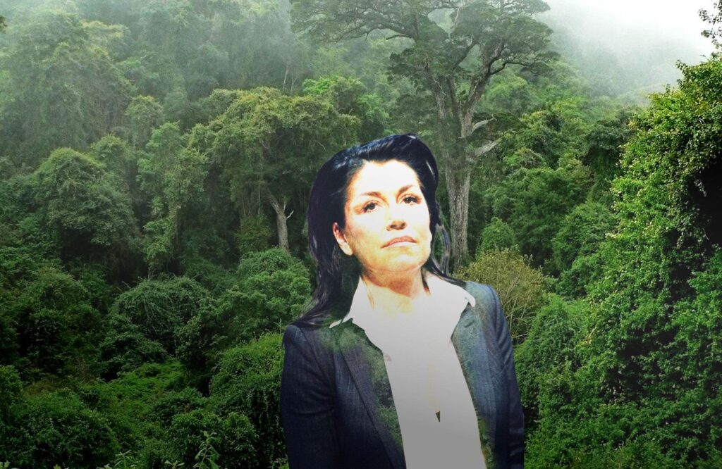 Pascale Jeannin Perez